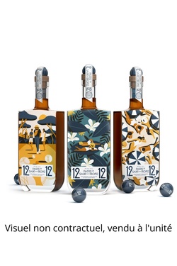 12/12 Pastis De Saint Tropez 45% 70cl