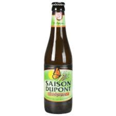 Br Dupont Saison Bio 33cl
