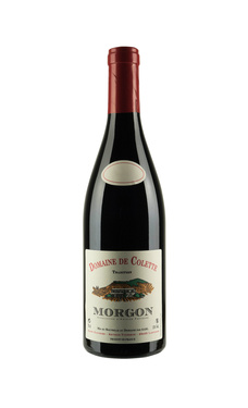 Magnum Domaine De Colette Morgon 2020 13°