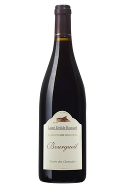 Aop Bourgueil Domaine Des Chesnaies 2023 Bio