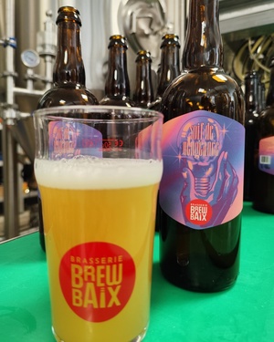 Brewbaix Soif De Vengeance Neipa 6,8° 75cl