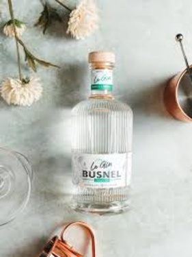 Le Gin Busnel 42,7° 70cl