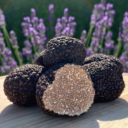 CARPACCIO DE TRUFFES D ETE 25g