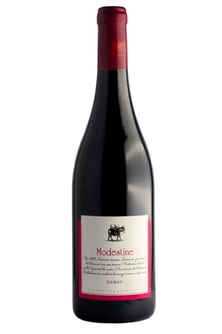 Igp Ardeche Gamay Modestine 2024