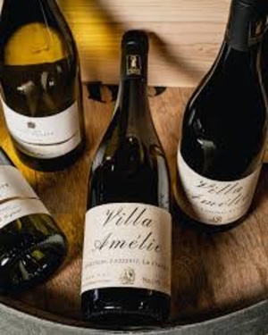 Saint Esteve Pays Oc Villa Amelie 2023 13,5° 75cl