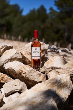 Aop Bandol Rose Domaine De La Begude 2022 Bio