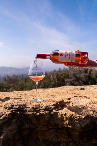 AOP BANDOL ROSE L IRREDUCTIBLE DOMAINE DE LA BEGUDE 2020 BIO