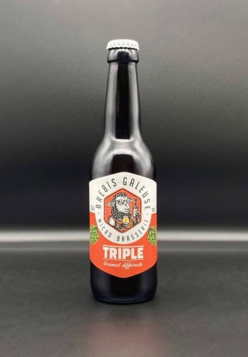 Brebis Galeuse TRIPLE  9° 33 cl