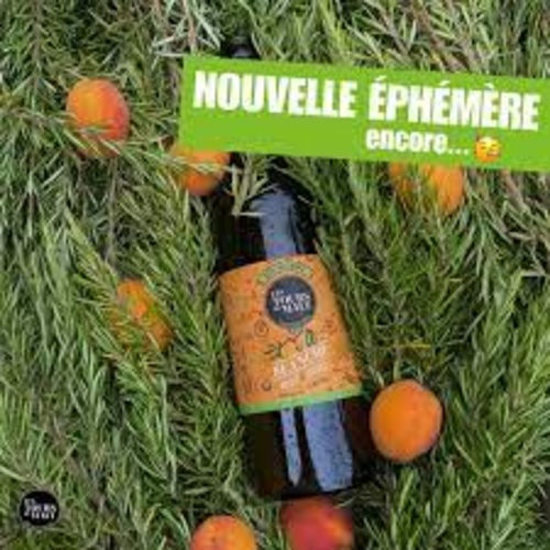 Tours du Malt BLANCHE Abricot Romarin Bio 4,3° 75cl